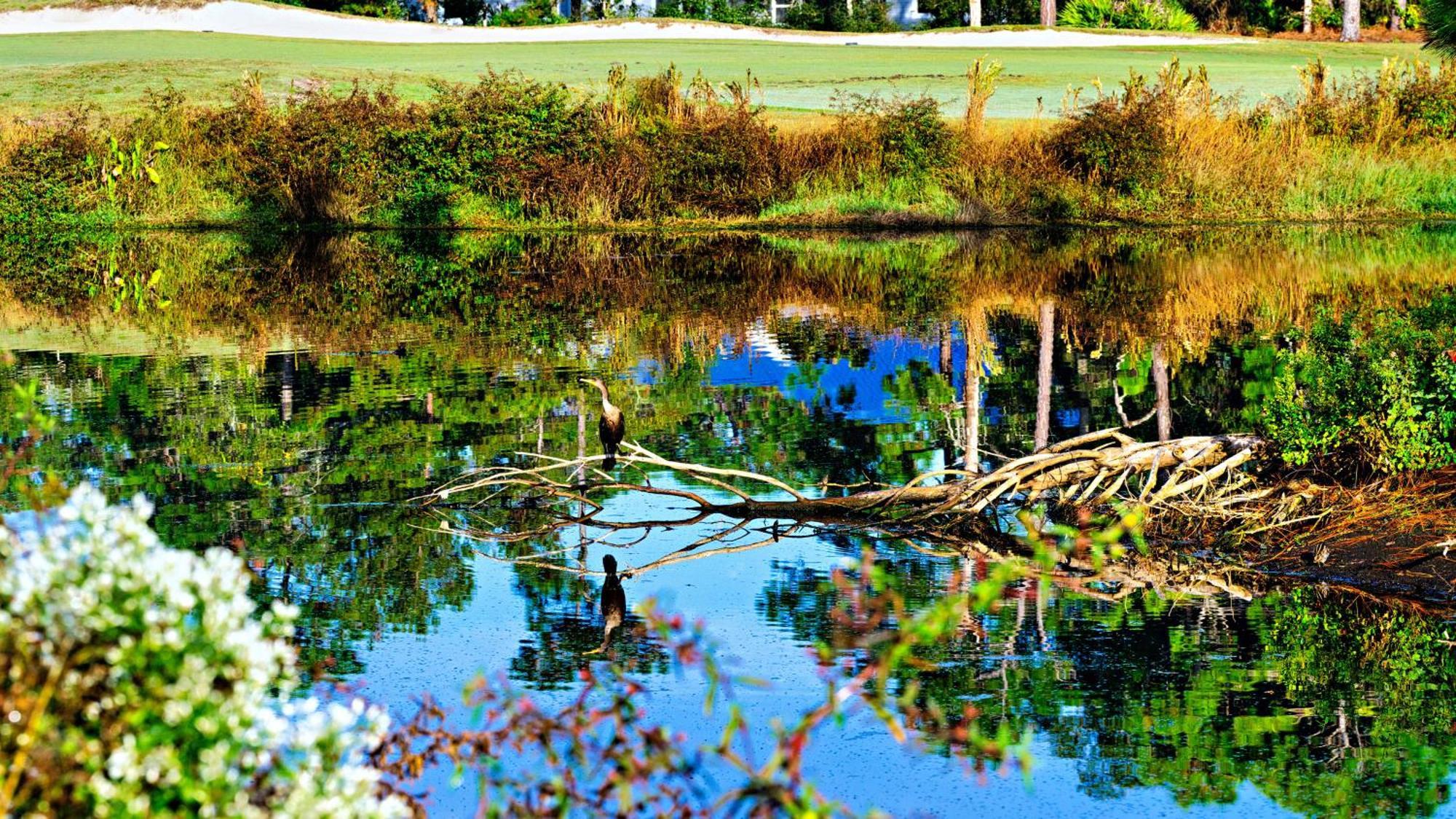 St James Bay Golf & Pickleball Resort Big Blackjack Landing Exterior foto